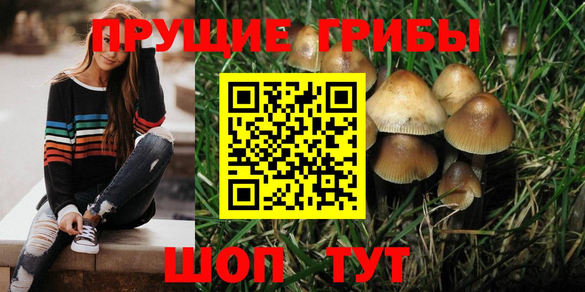 купить наркоту  Псилоцибиновые грибы мухоморы  Псилоцибиновые грибы ЛСД  Вход с VPN  Михайловск 